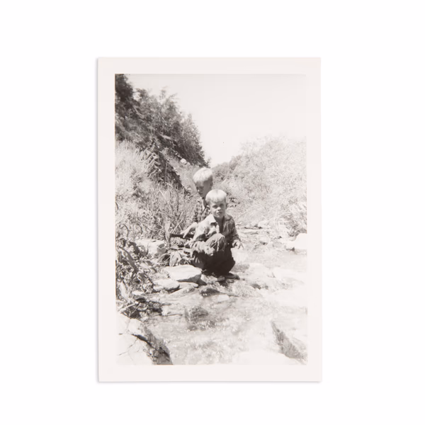 No information present about this image.
