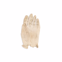Thumb number 2 for Golf Glove