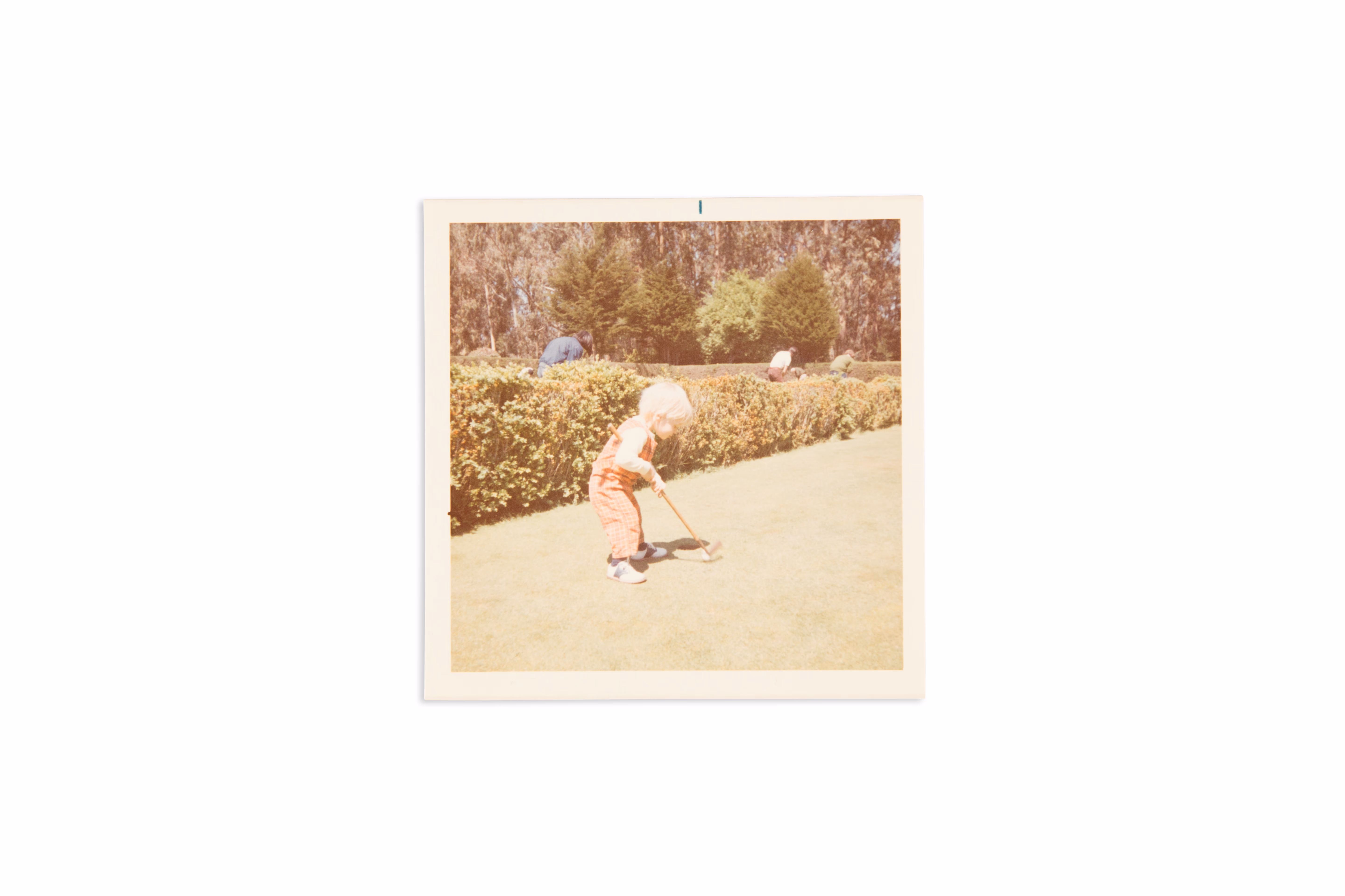 Asset 1 for Little John, Swing