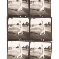 Thumb number 16 for Swing Photoshoot Variation