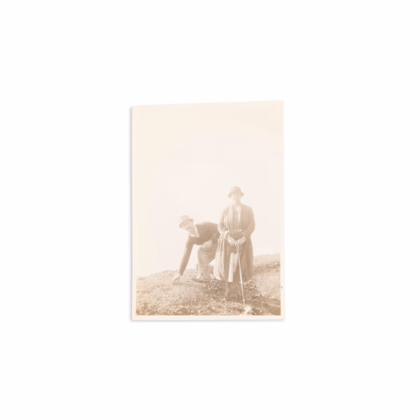 No information present about this image.