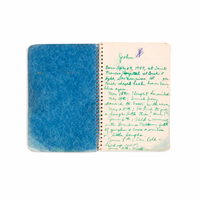 Thumb number 2 for Ida Miller's notebook about Johnny