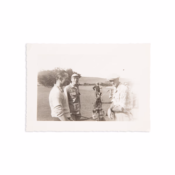 No information present about this image.