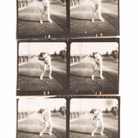 Thumb number 9 for Swing Photoshoot Variation